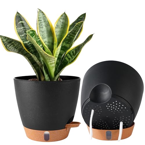 2 Pack 8 Inch Pots for Plants Indoor, Plastic Self Watering Planters | Drainage Holes, Water Level Indicator & Deep Reservoir, Decorative Flower Pots Indoor Outdoor Use, Black - color: Black, size: 8 Inch