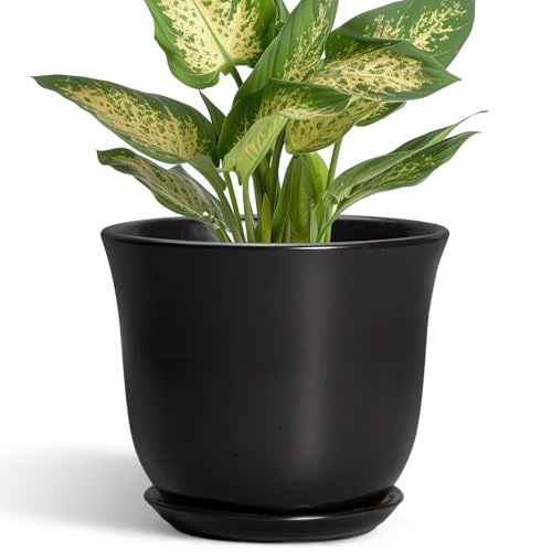 Ceramic Planter - 5.6 Inch Plant Pot for Indoor Outdoor, Round Succulent Pots with Drainage Hole and Saucer, Orchid Flower Pot, Modern Planter, Home Office Decor, House Warming Gifts, Black - color: Black, size: 6 Inch