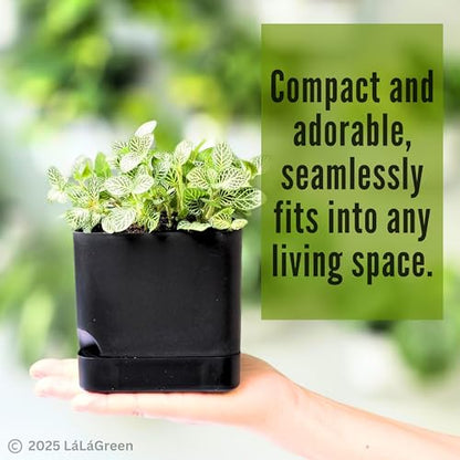 LaLaGreen Planters for Indoor Plants (7 Pack) Rectangular Flower Boxes | Self-Watering System Black Window Box Planter, Plastic Herb Garden Long Windowsill Plant with Drainage Modern Stylish Outdoor - color: Black
