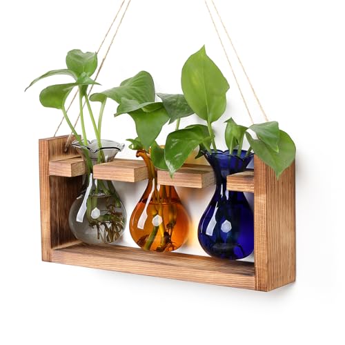 Plant Propagation Station Plant Terrarium Unique Birthday Gifts for Women | Plant Lovers Home Office Decor Planter with Wooden Stand - 3 Bulb Glass Vase - color: Color03