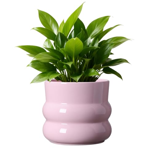 Ceramic Plant Pot,6 Inch Planters for Indoor Plants,Ceramic Planter Flower Pots with Drainage Hole,Home Office Garden Décor,(Pink,Inner-pots not Larger Than 5 Inch) - color: Pink
