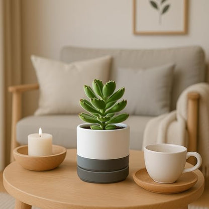 D'vine Dev 4-Pack Ceramic Pots with Saucers, White/Grey, 4.7 in, 94-X-B-6 | Glazed Ceramic, Drainage Hole and Saucer, Sleek Cylinder Shape, High Temperature Fired, Ideal for Small Houseplants - color: White/Speckled Grey, size: 4.7 Inch