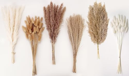 Dried Pampas Grass Decor, 120 PCS Pampas Grass with Bunny Tails Dried Flowers, Reed Grass Bouquet for Wedding, Boho Flowers, Home Table Decor, Rustic Farmhouse Party (White and Brown) - size: 120PCS