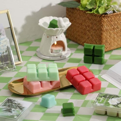 Summer & Spring Scented Wax Melts, Flower and Leaf Scented Wax Melts | Soy Wax Cubes for Wax Warmer, 6 x 2.5oz - color: Natural Plant