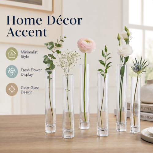 Koyal Wholesale Bud Vases, 7.5 Inch Clear Glass Cylinder, Set of 6