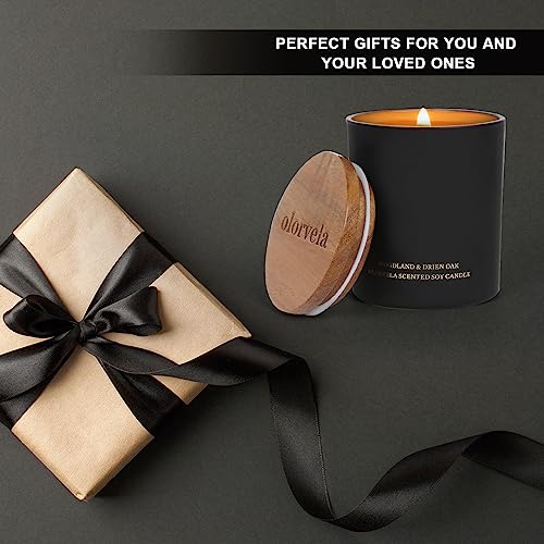 Scented Candles for Men, 8oz Candle for Home Scented, 50-Hour Burn Time Long-Lasting Aroma, Aromatherapy Gifts for Men (Summer Hill & Amber Wood, Wood Wicked)