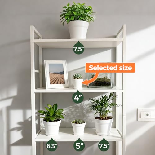 T4U Small Plant Pots 4 Inch 18 Pack, Plastic Flower Pots with Saucer White | Nursery containers for succulents cactus herbs, Desk windowsill shelf, Violet african violet, Compact lightweight - color: White, size: 4 In