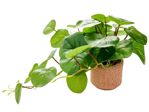 9'' Artificial Hanging Plant with Round Leaves Trailing Faux Greenery in Tan Diamond Planter with Foot Pads Small Indoor Fake Plant for Shelf, Bathroom, or Office Wall Decor - color: Planta