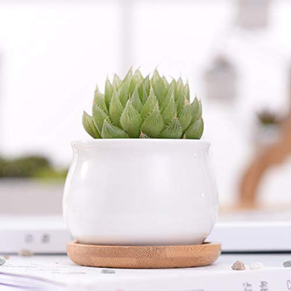 Succluent Pots ，Small Flower Pots Planter Pots with Drinage,Ceramic Flowers Pots with Bamboo Tray for Cactus(12 Pack | Ceramic Flowers Pots with Bamboo Tray for Cactus,Planter Pots for Home,Kitchen