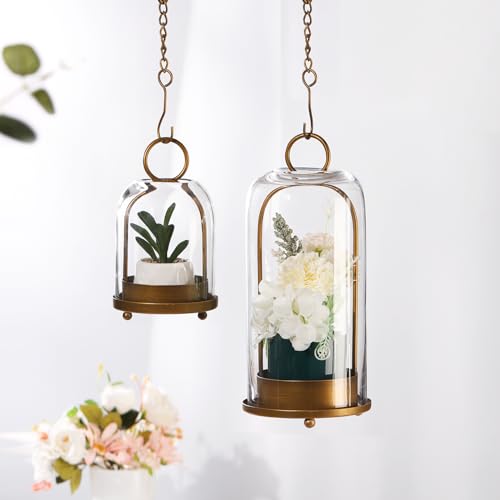 5" & 4" Wide Versatile Metal Candle Holder with Handmade Sturdy Glass Dome in Brass for Pillar Candle & Plants, 5.1" xH11.8 4" xH7.5, Industrial, Farmhouse, Shabby Chic. (2, Brass, Large & Small) - color: Brass