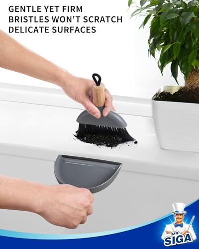 MR.SIGA Mini Dustpan and Brush Set, Bamboo Handle, Gray, 1 Set | Portable cleaning brush and dustpan combo, handheld brush and dustpan combo with hanging loop - color: Gray