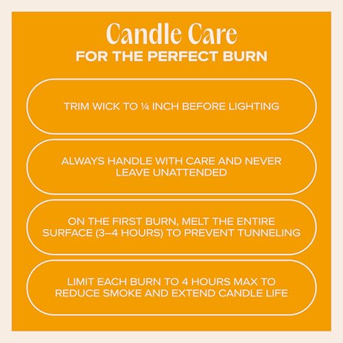 You Got This! Pet-Friendly Scented Candle – Tropical Nectar & Fruits Fragrance - Coconut Soy Wax Candle with Wooden Wick, Approx. 50-Hour Burn Time, Made in USA, 11.8 oz - color: You Got This!