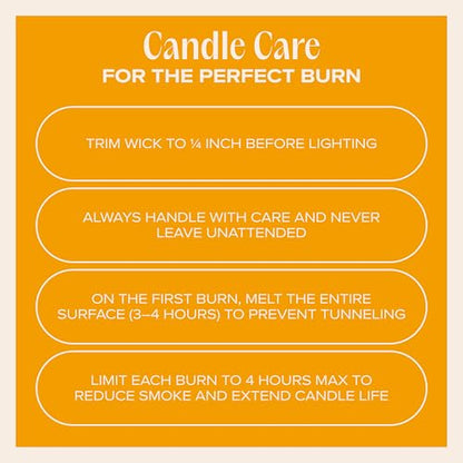 You Got This! Pet-Friendly Scented Candle – Tropical Nectar & Fruits Fragrance - Coconut Soy Wax Candle with Wooden Wick, Approx. 50-Hour Burn Time, Made in USA, 11.8 oz - color: You Got This!
