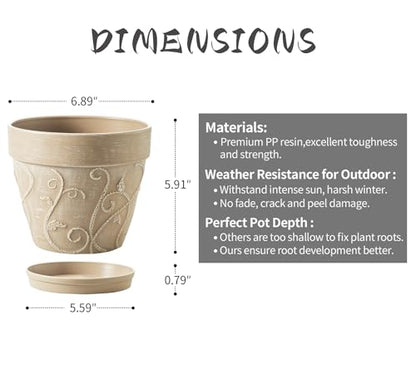 Indoor Plant Pots and Succulent Tools