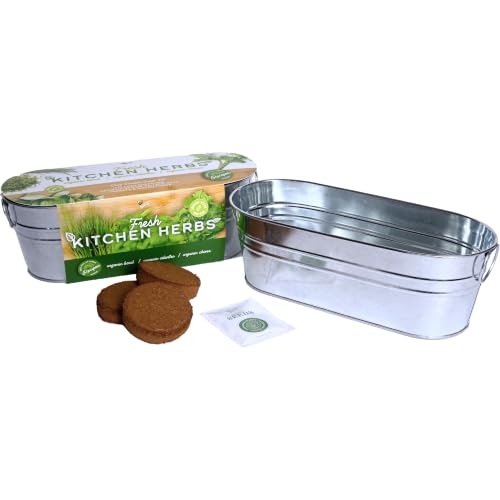 BUZZY Seeds Organic Windowsill Grow Kit, Copper Culinary Herb Garden with Basil, Cilantro and Chives, Indoor Starter Set with Seed Packets and Growing Medium, Holiday Present, Gardening Gift - color: Kitchen Herbs
