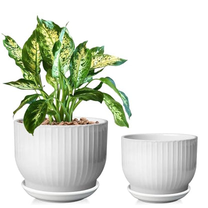 Ceramic Plant Pots,6.7 + 5.5 Inch,Ceramic Flower Pots,Planters with Drainage Hole and Saucer,Planters for Indoor Plants(Pure White) - color: Pure White