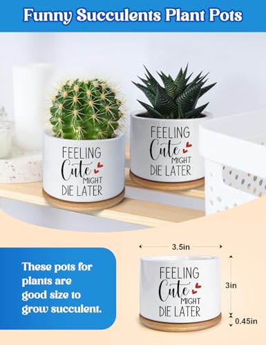 Funny Feeling Cute Might Die Later Ceramic Planter Pot for Succulent & Cactus, Unique Teacher Appreciation Gift, Birthday Gift for Plant Lovers, Decorative Plant Pot (Plant Not Included)