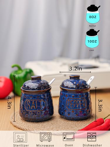 GDCZ 10 Oz Ceramic Salt and Pepper Bowls Set with Lid and Spoons (Blue) | Convenient Set of 2 for Kitchen, Includes Lids & Matching Spoons, 10oz Capacity, Embossed Texture - color: Blue