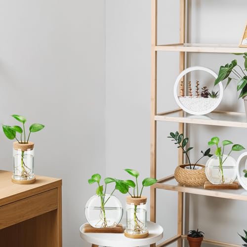 Layhit 4 Pcs Plants Propagation Stations vases Glass Planters with Wooden Lid and Bamboo Stand for Hydroponic Plants Gardening Gifts for Women Mom Home Office Tabletop Decoration(Novelty Style) - style: Novelty Style