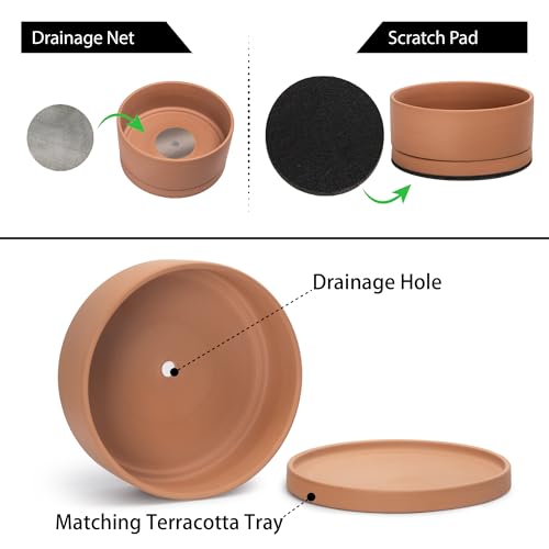 D'vine Dev Terracotta Shallow Planter Pot with Saucer, 12 in, 40-Y-C-0 | Wide Bowl Design, Unglazed Terracotta, Porous & Breathable, Minimalist Style, Ideal for Succulent Arrangements - size: 12 Inch