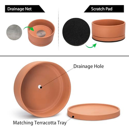 D'vine Dev Terracotta Shallow Planter Pot with Saucer, 12 in, 40-Y-C-0 | Wide Bowl Design, Unglazed Terracotta, Porous & Breathable, Minimalist Style, Ideal for Succulent Arrangements - size: 12 Inch