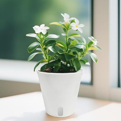 TCBWFY 5 Inch Self Watering Pots for Indoor Plants,5 Sets Self Watering Planter Pots with Visual Water Level Window and Multiple Vents,Self Watering Plant Pot for All House Plants,Flowers,Herbs - size: 5 Inch - 5 Sets