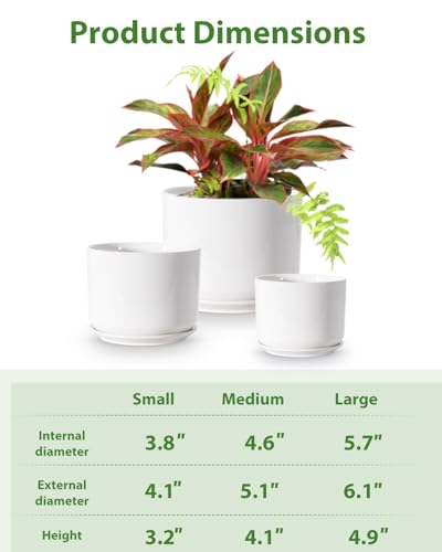 EFISPSS Plant Pots, 4+5+6 Inch Pots for Indoor Plants, Ceramic Planter Pot with Drainage Hole, Flower Pots for Succulent Cactus, Set of 3 - White - color: White