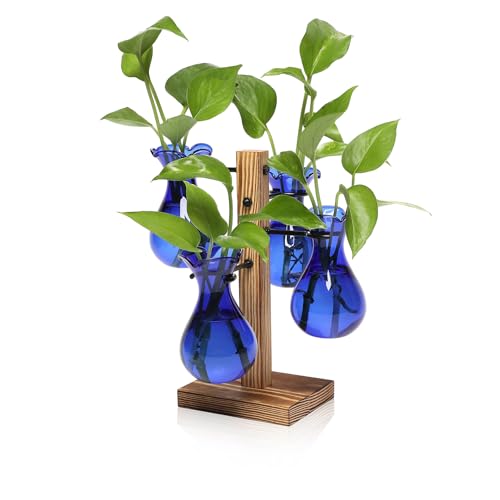 Plants Propagation Stations Bulb Glass Propagation Birthday Gift for Women | Garden Plant Lovers - 4 Bulb - color: Blue