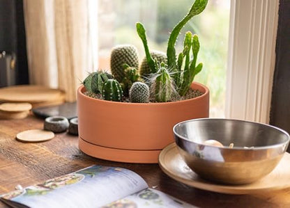 D'vine Dev Terracotta Shallow Planter Pot with Saucer, 12 in, 40-Y-C-0 | Wide Bowl Design, Unglazed Terracotta, Porous & Breathable, Minimalist Style, Ideal for Succulent Arrangements - size: 12 Inch