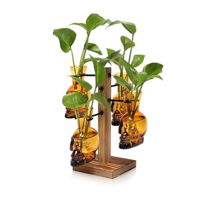 Plants Propagation Stations Skull Glass Propagation Birthday Gift for Women | Garden Plant Lovers - 4 Skull - color: Amber
