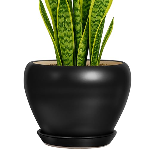 Deep Dream 8 Inch Plant Pot - Ceramic Pots for Plants with Drainage Hole and Trays, Modern Round Flower Pot, Planters for Indoor Outdoor Plants, Home Garden Decor, Black - color: Matte Black, size: 8 Inch