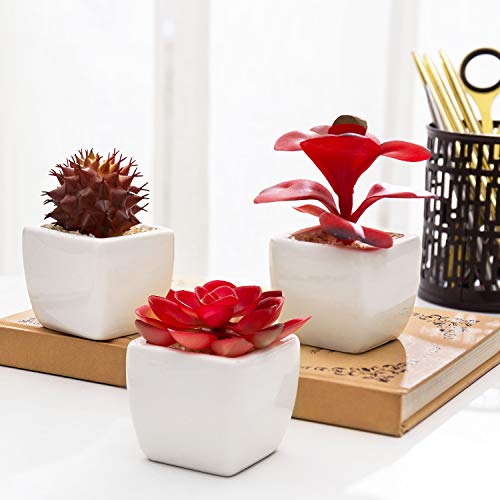 MyGift Assorted Artificial Red Succulent Plants, Mini Fake Desert Plants in White Square Pots, Set of 3 - color: Red (Set of 3)