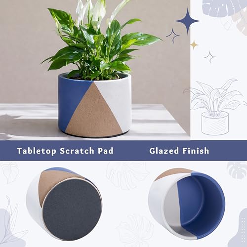D'vine Dev 2-Pack Cachepot with Clear Pot, 6.5"low, Cobalt Canyon, 93-V-D-3 | Dual-Pot System, Root Visibility, Bottom Watering Support, Enhanced Drainage, Artistic Stoneware Design, Easy Plant Care - color: Cobalt Canyon, size: 6.5” Cachepot + 6“ Clear G