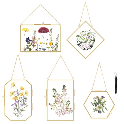 5 Pcs Pressed Flower Frames with Tweezers, Wall Hanging Tabletop Display Double Glass Frames with Metal Chain for Pressed Dried Flowers Plants, Horizontal and Vertical Picture Frame, Golden - color: Gold-5