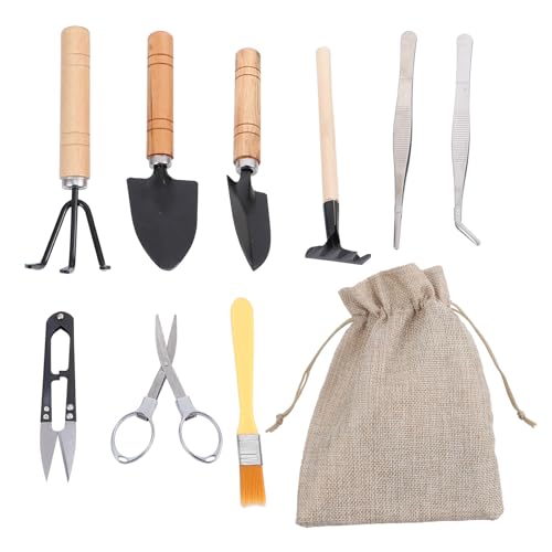 VILLCASE 10pcs Succulent Planting Hand Tools Set with Transplanting Trowel, Tweezers, Spray Bottle, and Brush for Mini Potted Plants Gardening and Bonsai Care