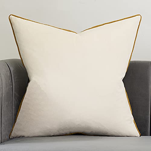 Avigers Throw Pillow Cover 18 x 18 Inch, White, Velvet, Hidden Zipper | Insert not included; Western plain accent for couch, sofa, bed and living room; removable for seasonal updates - color: White, size: 18" x 18" (Pack of 1)