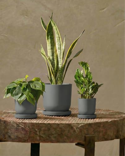 Bamworld Plant Pots Indoor with Drainage Holes- Set of 3 Pots for Plants(5.1/6.3/7.5Inch) Plastic Flower Pot Planters for Indoor Outdoor Plants Garden Pots for Room & Office Décor Gray - color: Cement Gray, size: Oval
