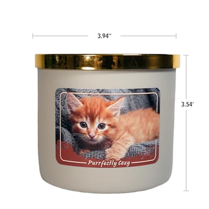 Colonial Candle Purrfectly Cozy Scented Jar Candle, 14 oz - Warm & Comforting Fragrance, Long-Lasting Burn, Made in The USA - color: Purrrfectly Cozy