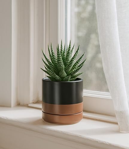D'vine Dev 4-Pack Ceramic Pots with Saucers, Black/Tan, 4.7 in, 94-X-B-7 | Glazed Ceramic, Drainage Hole and Saucer, Sleek Cylinder Shape, High Temperature Fired, Ideal for Small Houseplants - color: Black/Speckled Tan, size: 4.7 Inch