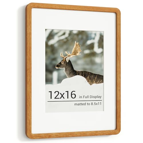 RICHFOCUS 12x16 Picture Frame, Solid Teak Wood Photo Frame with Double Tenon Rounded Corner & Chamfered Curved Edge, 12 by 16 Wooden Frame Matted to 8.5x11 Photos, Diploma Certificate Document Frame - color: Teak, size: 12x16