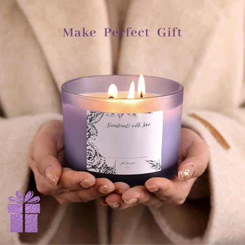 6 Pack Glass Candle Jars with Lids (16oz, Frosted Purple) - Large Candle Jars for 3 Wick Candles Making - Empty Candle Jars Containers - Candle Making Accessories include 16Pcs Candle Labels - color: Frosted Purple