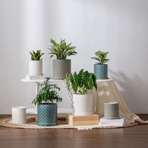 8 Inch Plant Pot: Ceramic Planter with Drainage Hole & Saucer Indoor Outdoor Plants - Cylinder Round Flower Pot for Home Office - Modern Decorative - Medium White