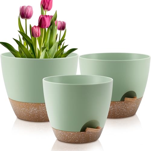 Plant Pots 12/10/9 Inch Self Watering Pots, Set of 3 Plastic Planters with Drainage Holes and Saucers,Plastic Flower Pots,Nursery Planting Pot for Indoor Out Door Plants(Green) - color: Green, size: 12/10/9 inch