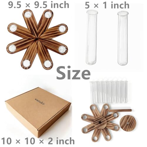 Plant Terrarium Propagation Stations, Clear Glass Flower Vases, Wooden Stand Retro, Hydroponics for Home Office Decoration, Dining Table Centerpiece - 8 Glass Tubes Vases