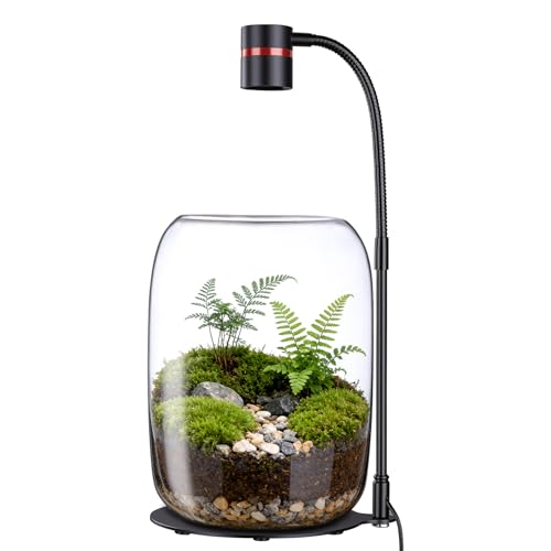 Glass Terrarium Jar with 5W LED Grow Light, 8.7 Inch | 3 color modes, dimmable light, USB powered, wide opening, for moss, succulents, mini plants, shelves and home office decor