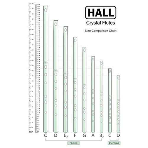Hall Crystal Flute 22202 - Offset Glass Flute in D - Carolina - color: Carolina