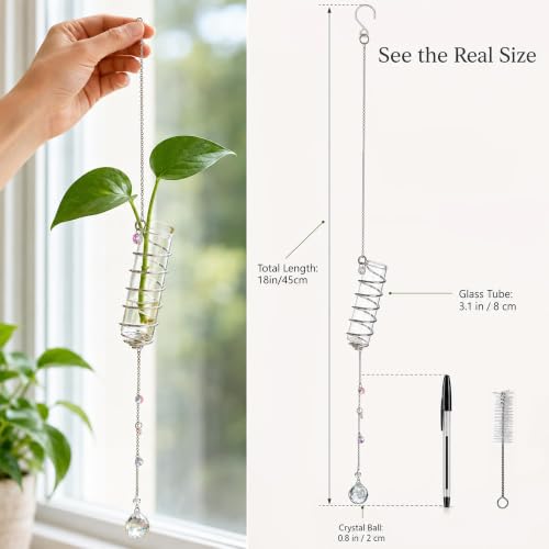 6Pcs Hanging Plant Propagation Station with Crystal Ball Prisms Suncatcher | Window Hanging Propagation Station and Cleaning Brush, Glass Plant Suncatcher for Indoor Wall Gifts for Plants Lovers(Silver) - color: Silver