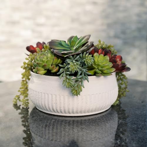 Round Faux Succulent Arrangement, 12" Premium Artificial Indoor Plant Enhances Interior Design, Display on any Surface in Your Home Adding an Inviting Touch of Nature, White Planter Pot Included - size: 12" Round White