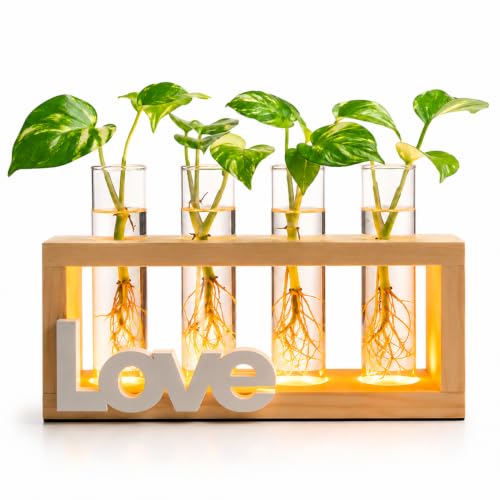 Plant Propagation Station with LED Grow Light Wooden Stand （Love） | plant terrarium with 4 glass propagation tubes and stepless LED light, perfect for indoor gardening, home decor - color: LOVE