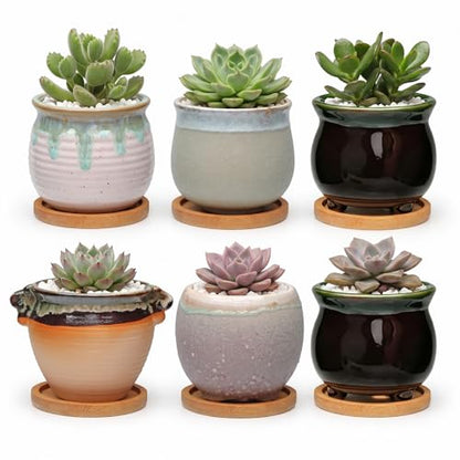 3.5 Inch Succulent Pot with Drainage,Planting/Flower Pots | Small Planter Pot for Mini Plant Ceramic Flowing Glaze Base Serial Set with Holes,Flower Pots with Tray for Home - size: 3.5inch-6pack